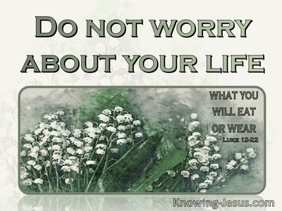 Luke 12:22 Do Not Worry About Your Life (sage)